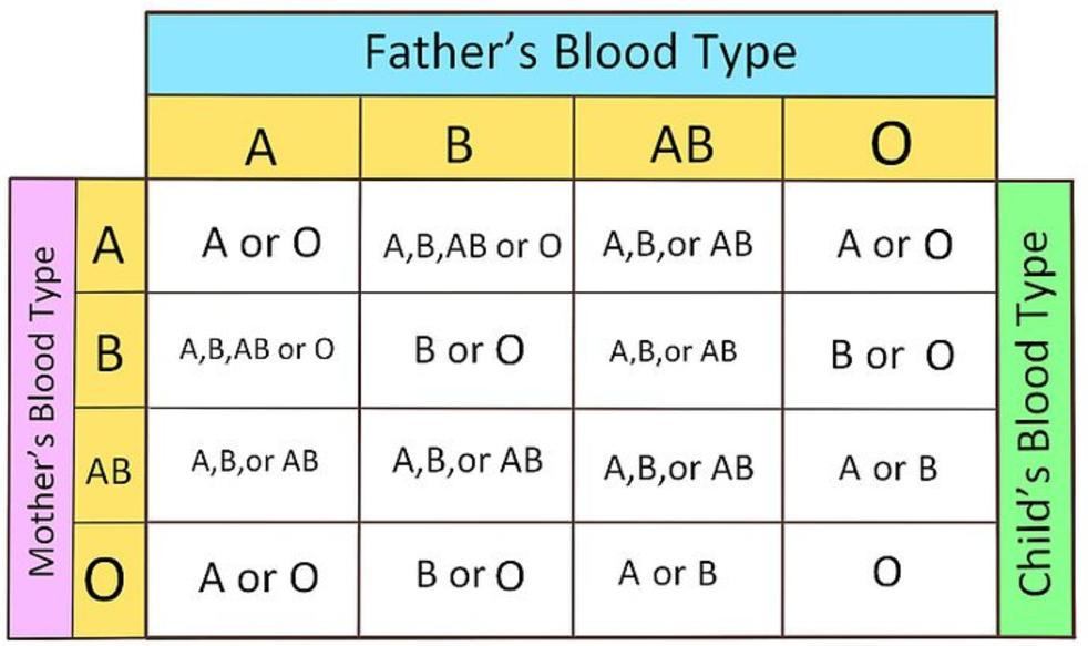 211lab bloodtypetesting/paternity