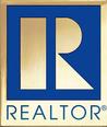 Professional Realtor