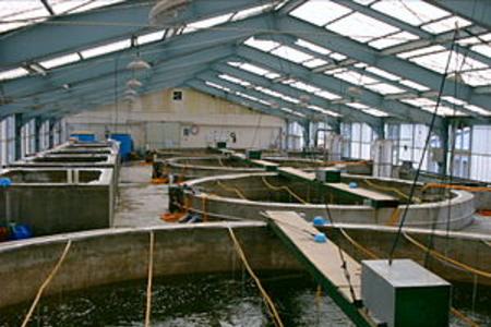 Get The Best Hatchery Waste Removal Services In Lincoln NE | LNK Junk Removal