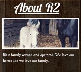 R Squared Ranch Gaited Horsemanship