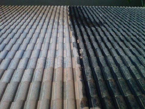 ROOF CLEANING SERVICES