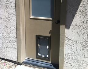 Pet Door Installation Phoenix
