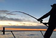 MULTI DAY TRIP OUT OF SAN DIEGO FOR TUNA BLUEFIN YELLOWFIN