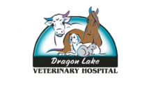 Dragon Lake Vet Hospital Logo