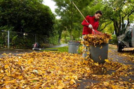 Leaf Removal Leaf Cleanup Yard Debris Removal Fall Leaf Removal Service and Cost in Omaha NE | Omaha Junk Disposal