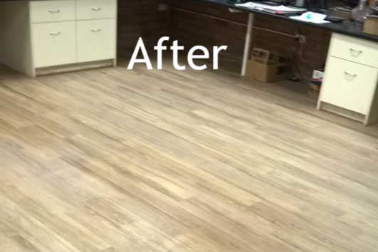 Vinyl Scrubbing, Vinyl Deep Cleaning