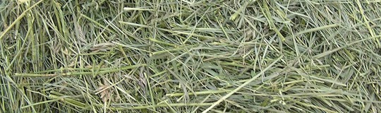 How To Grow Quality Hay - Hobby Farms