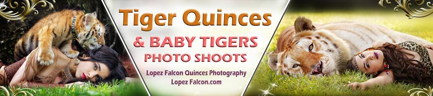 QUINCEANERA PHOTOSHOOT WITH BABY TIGERS SWEET 15 QUINCEANERA PHOTOGRAPHY WITH TIGER IN MIAMI