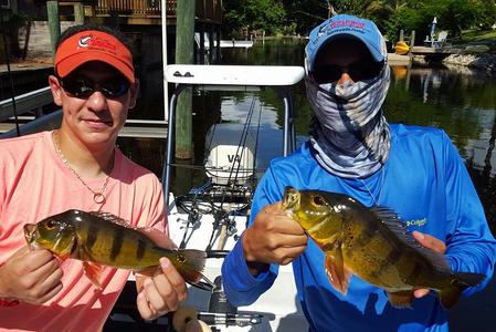 Two Florida anglers with PeacockBass doubles