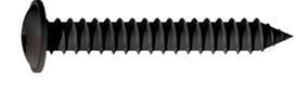 Woodscrew