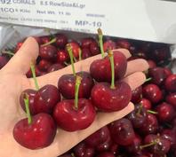 Bán cherry Mỹ tại Hà Nội