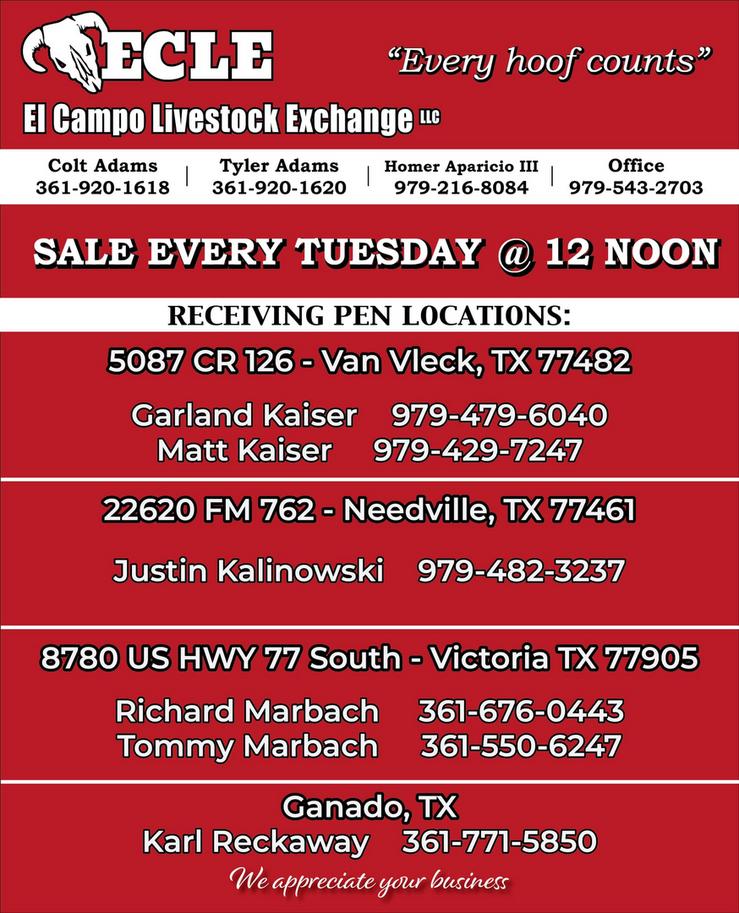 Holding Pens EL Campo Livestock Auction