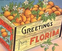 Home Search - Picture of a box of oranges with Greetings from Florida on the side of the box.