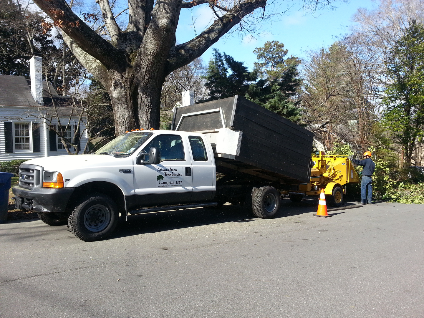 Tree Service Atlanta - Trusted Tree Removal Company in Atlanta - Tree Care  Near Me - Southern Star Tree Service