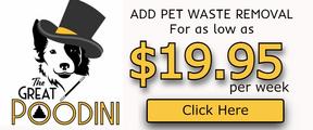The Great Poodini Pet Waste Removal