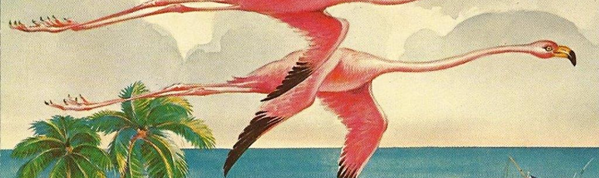 Picture of a Pink Flamingo in Flight over the coast with palm trees