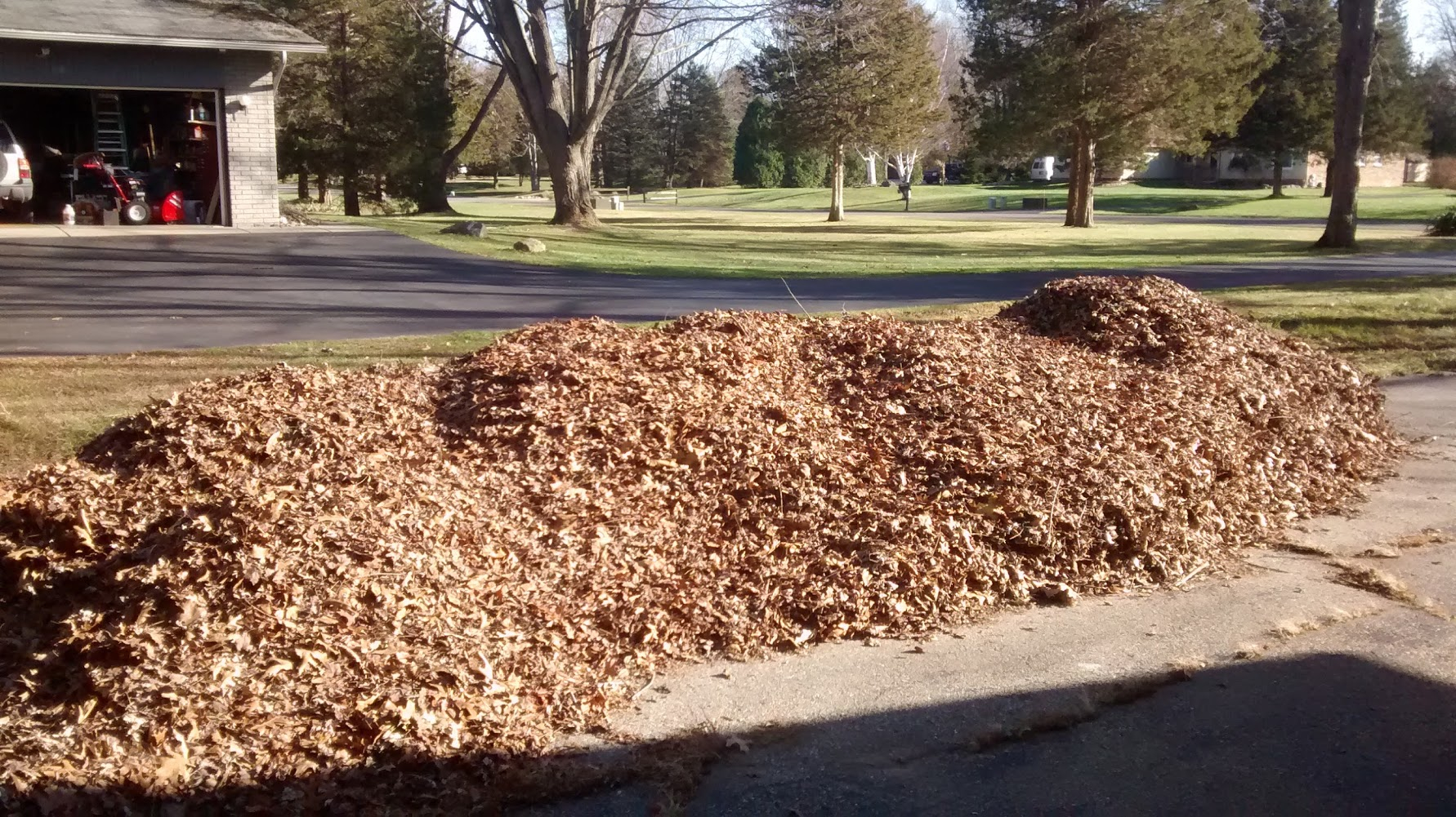 Leaf Removal Vacuum Services Alton Godfrey Edwardsville Il Element Turf Outdoor Solutions Llc