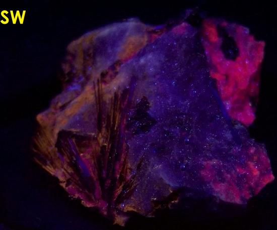 ASTROPHYLLITE, Aegirine crystals, fluorescent SODALITE - Poudrette quarry (Demix quarry; Uni-Mix quarry; Desourdy quarry; Carrière Mont Saint-Hilaire; MSH), Mont Saint-Hilaire, La Vallée-du-Richelieu RCM, Montérégie, Québec, Canada