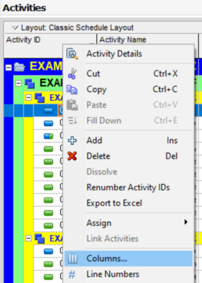 Select columns in Primavera P6