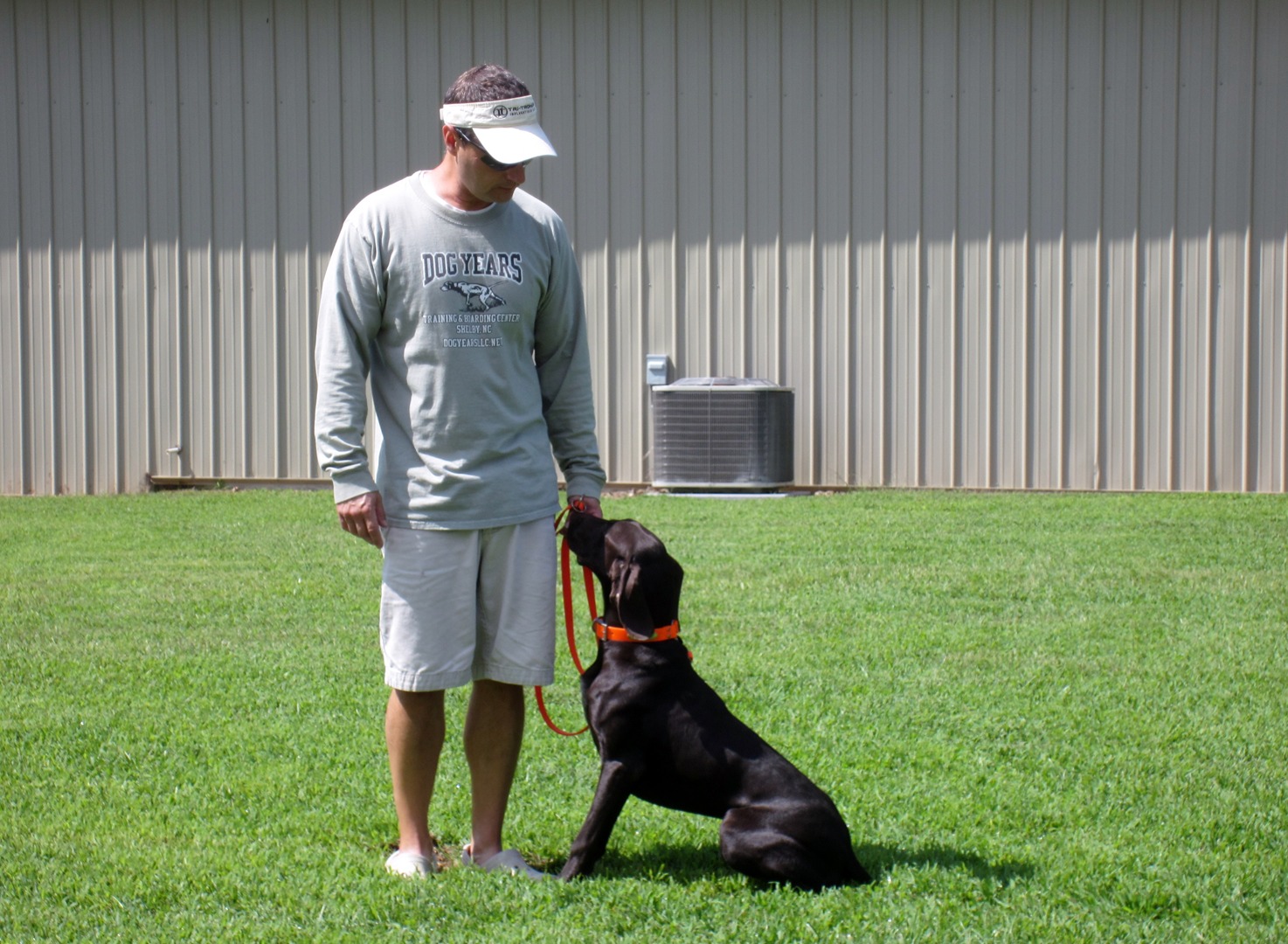 Dog obedience 2024 training boarding