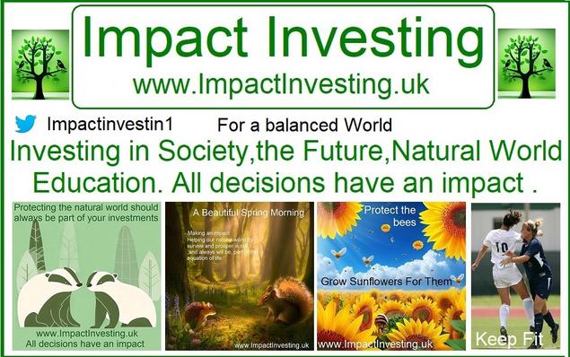 Impact Investing today