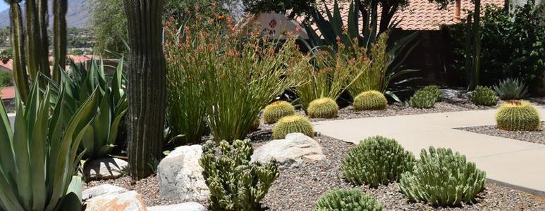 NORTH LAS VEGAS LANDSCAPING SERVICE Please Contact Us for a Quote