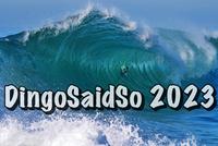 2023 DingoSaidSo Annual photo book