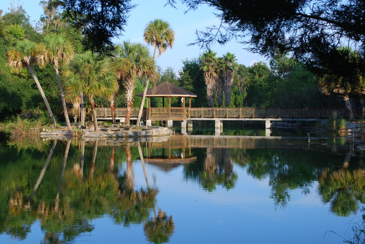 Devils Den Springs, Williston Florida