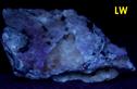 fluorescent CHALCEDONY and MAGNESITE - Bare Hills Serpentine Quarry East, Bare Hills, Baltimore County, Maryland, USA - for sale