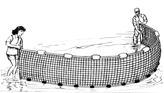drawing of a seine net