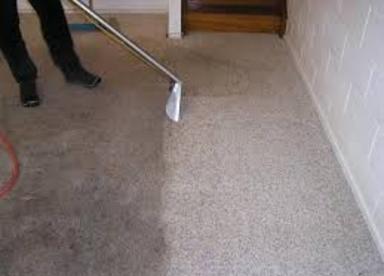Professional Carpet Cleaning Services, Rochester NY