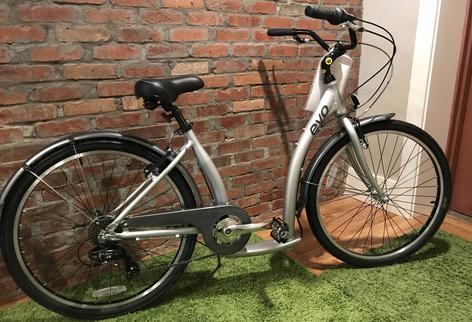 Evo brewster fat online bike price