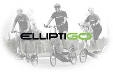 Elliptigo best sale bike price