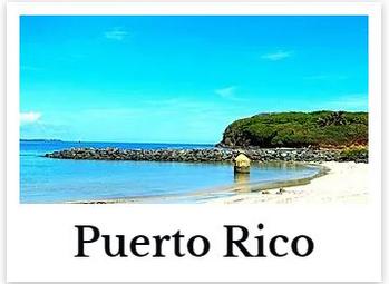Puerto Rico Online CE Chiropractic DC Courses internet on demand chiro seminar hours for continuing education ceu credits