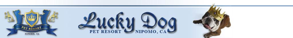 Lucky Dog Pet Resort | Dog Day Care, Pet Boarding, Cat Boarding