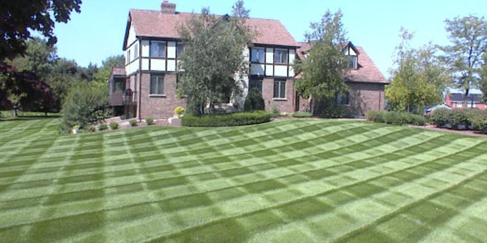 Best lawn deals