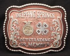 4h belt outlet buckles