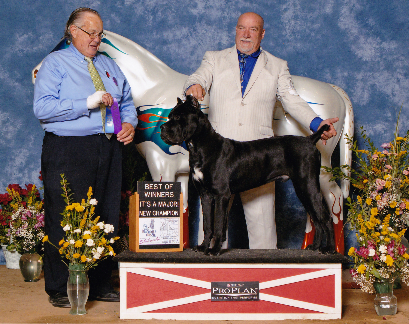 Bluegrass best sale cane corso