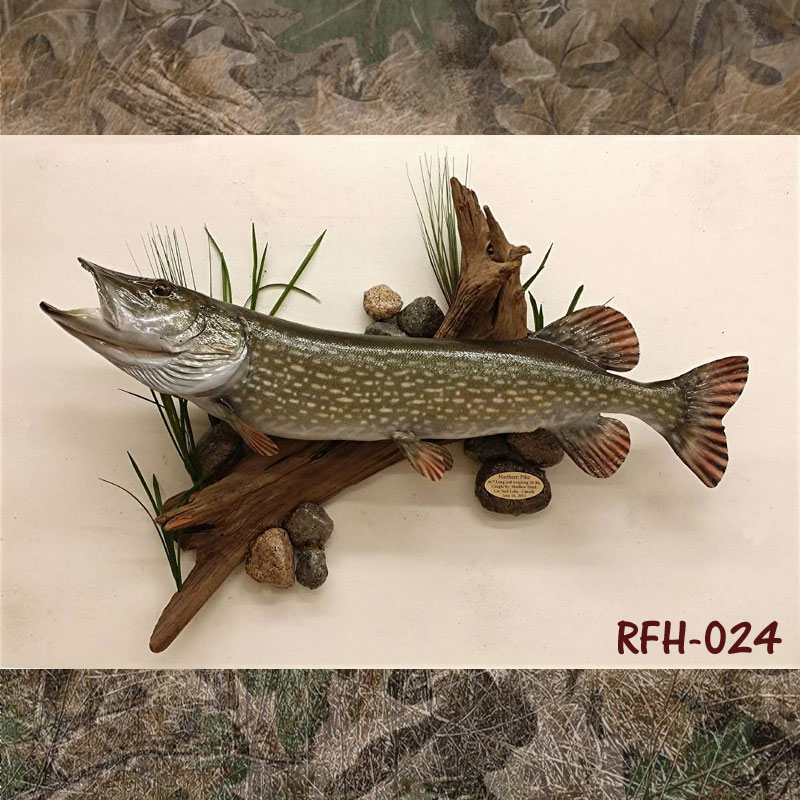 PermaTrophy Replicas  Fish Reproduction Mounts