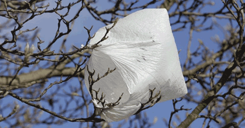 Home [pleasantvillerecycles.org]