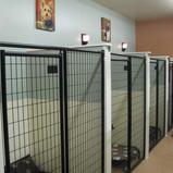 three large kennels with solid walls and black metal doors and mesh