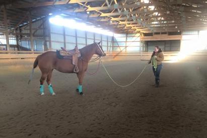 Triple M Stable, Council Bluffs, IA- Horse Training