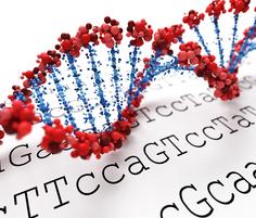 Microsort and PGD for sex selection