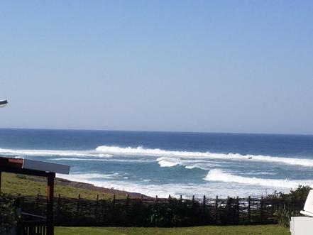 View from Milkwood