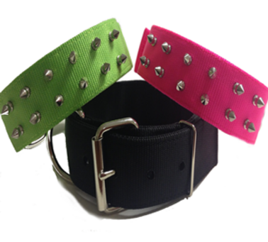 Spiked Collars for large Dogs