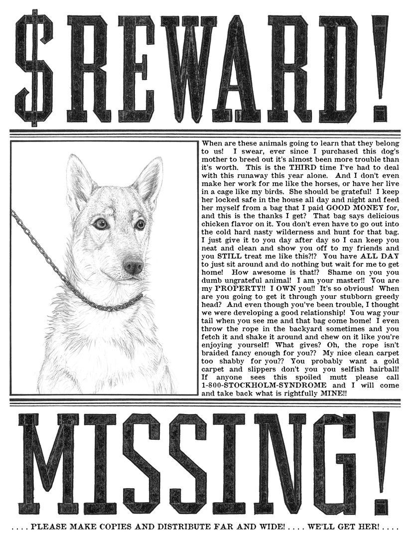 Reward Missing Dog Dogs Pets Cats Birds Horses Animals 1-800-STOCKHOLM-SYNDROME poster flyer drawing Alex Skelton Art