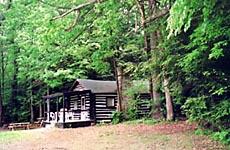 Pine Crest Cabins Camping Horses Cook Forest Primitive