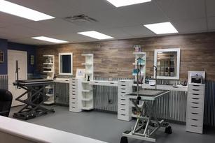 Grooming salons near me new arrivals