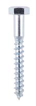 Coach Screws