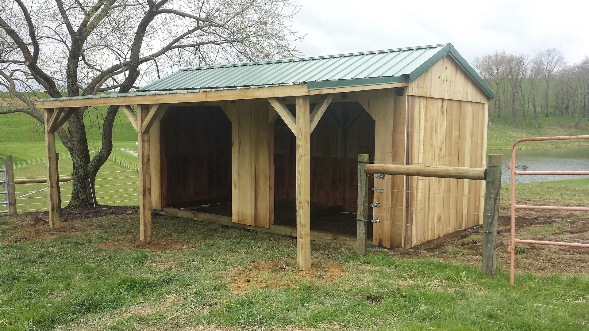 Run In Sheds